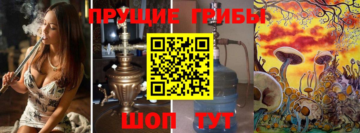 Псилоцибиновые грибы GOLDEN TEACHER  хочу наркоту  Апшеронск  Галлюциногенные грибы GOLDEN TEACHER  Вход с VPN 